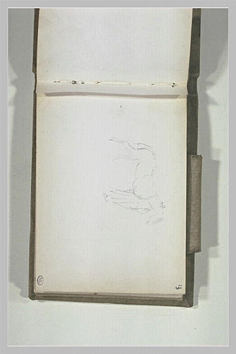 Cheval et personnage