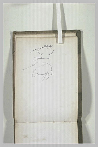 Tête de cheval, et cadavre de cheval