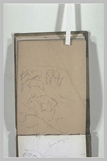 Paysage et troupeau