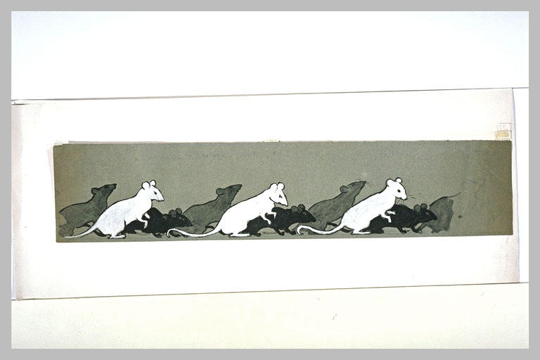 Frise de souris blanches, grises et noires