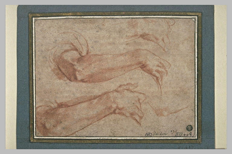Trois études de bras droit
