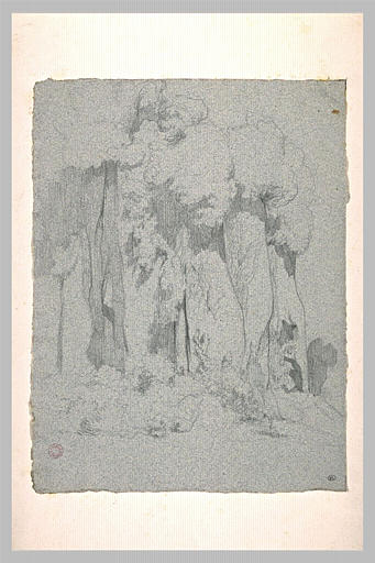 Etude de rochers avec des buissons