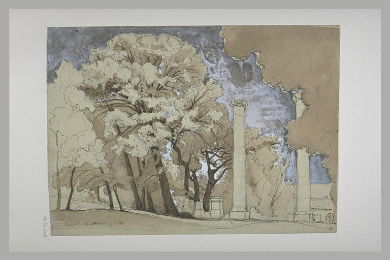 Frascati : colonnes antiques au milieu d'arbres