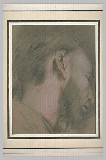 Tête d'homme barbu, de profil, vers la droite, regardant vers le bas