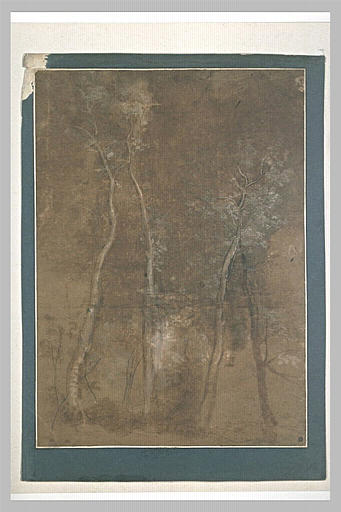 Etude d'arbres