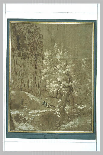 Homme à demi-étendu se reposant dans un sous-bois