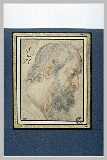 Tête d homme barbu, de profil vers la droite, les yeux baissés