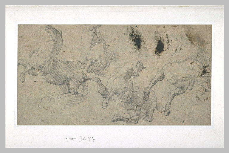 Quatre études de chevaux