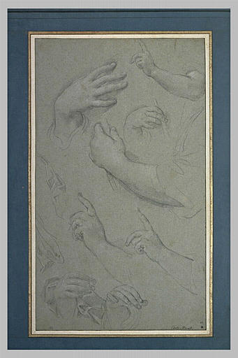Etude de mains et de bras