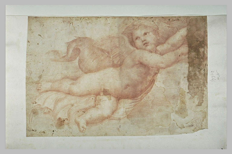 Palaemon, couché vers la droite, d'après la fresque de la Loggia de Galatée