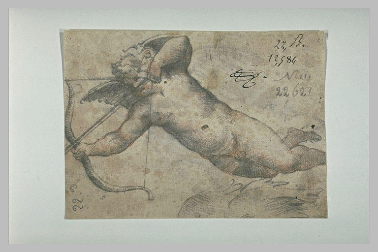 Palaemon, vu en buste, d'après la fresque de la Loggia de Galatée