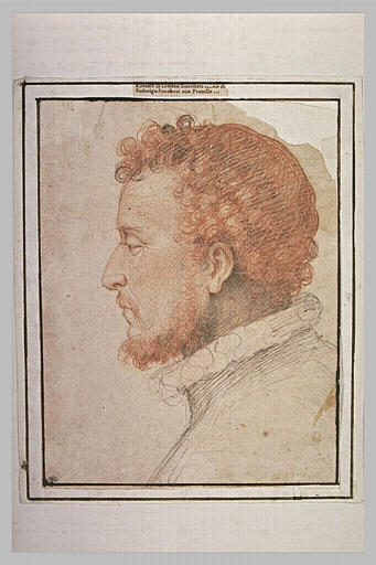 Portrait de Taddeo Zuccaro, de profil