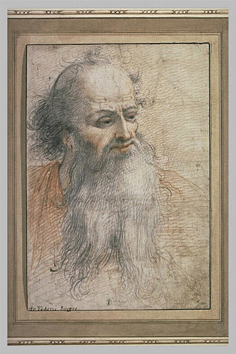 Tête d'homme à longue barbe