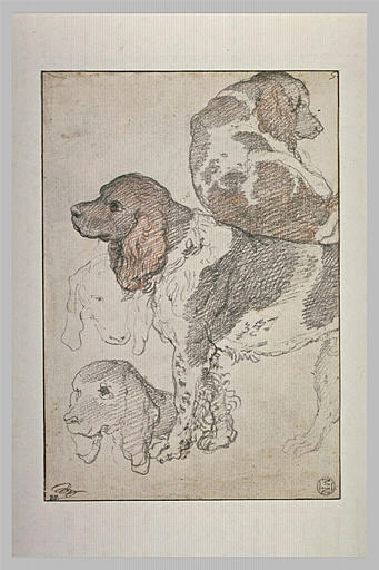 Etude de deux chiens, l'un debout, l'autre couché, et deux têtes de chien