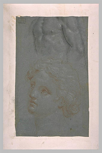 Etudes d'un torse d'homme et d'une tête de jeune homme