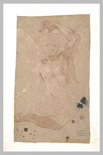 Torse d'adolescent, et bras