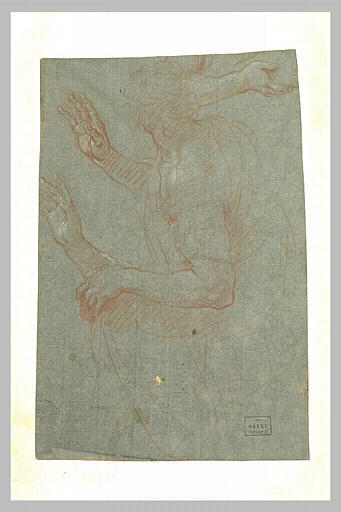 Demi-figure et étude de mains