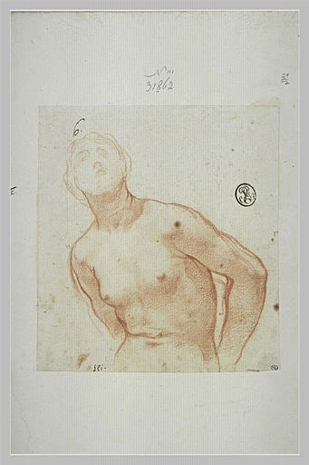 Femme nue, vue à mi-corps, les mains derrière le dos : sainte Bibiane