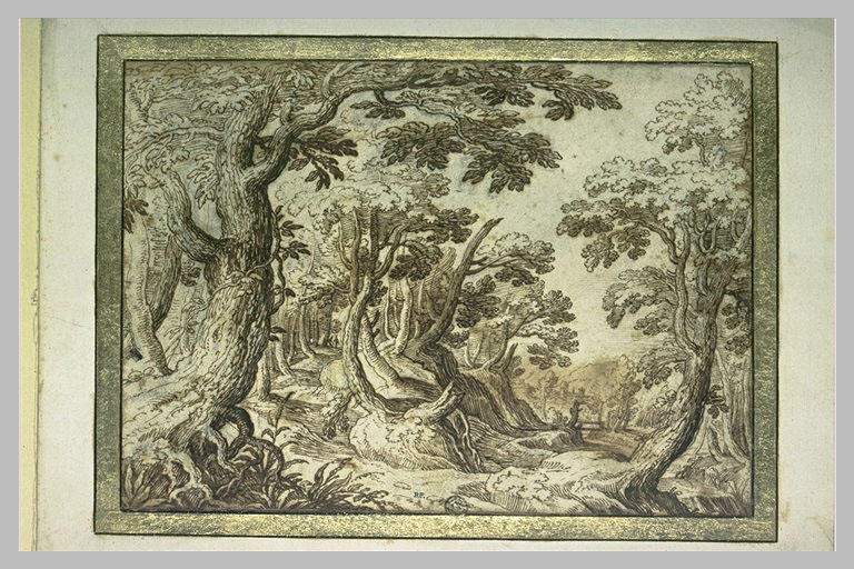 Paysage boisé avec un sentier et un ruisseau
