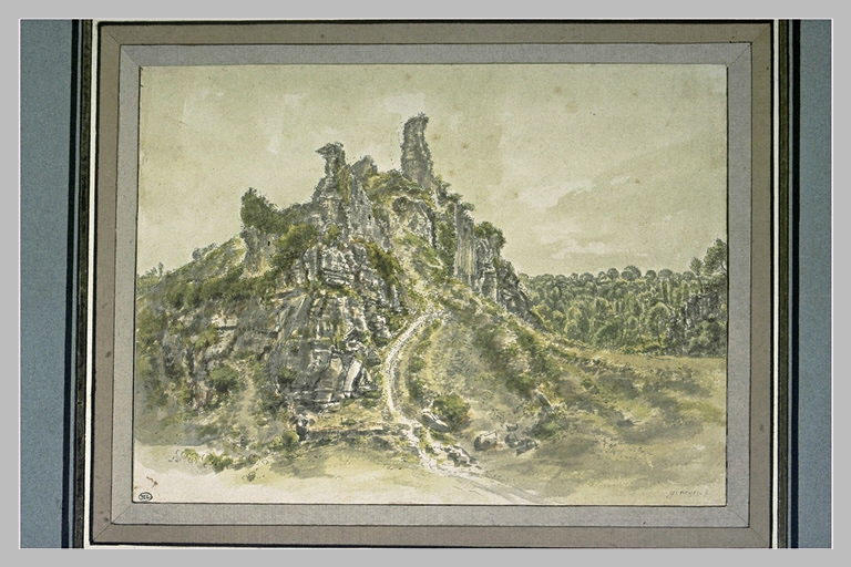 Une butte rocheuse dans une forêt