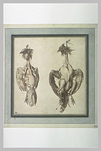 Deux poules plumées, pendues chacune à un clou