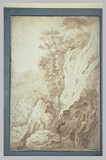 Paroi rocheuse où poussent des arbustes