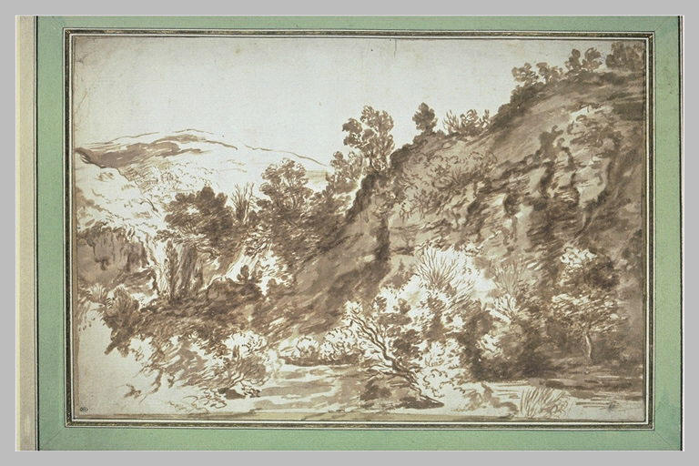Etude de rochers couverts d'arbustes