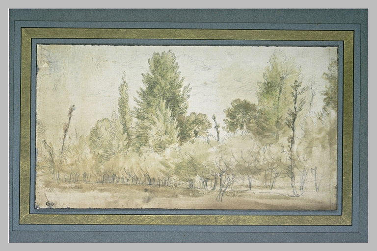 Paysage de saules et de peupliers