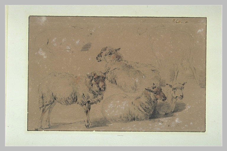 Etude de six moutons