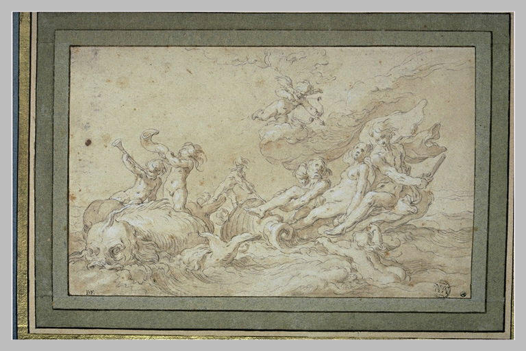 Le triomphe d'Amphitrite