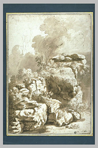 Rochers garnis de brousailles et d'arbustes