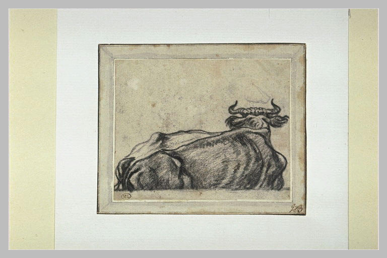 Vache couchée tournée à droite, vue de dos