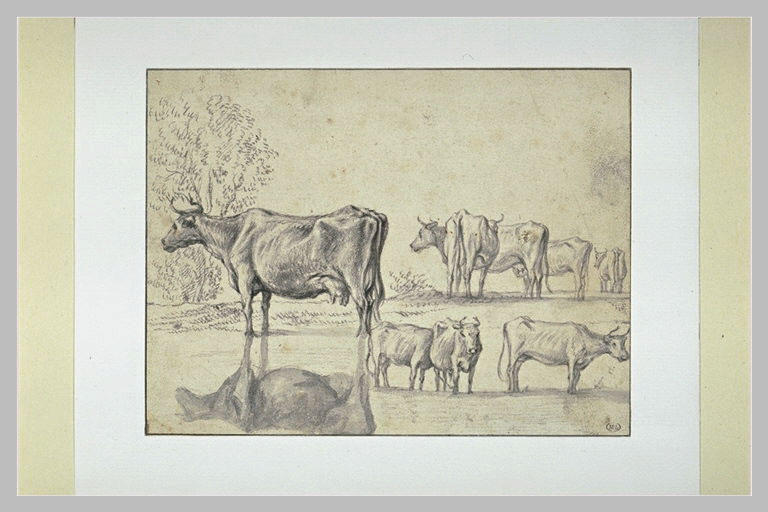 Feuille de huit études de vaches