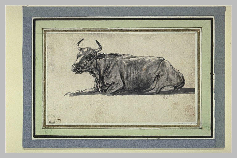 Etude de vache couchée, de profil vers la gauche
