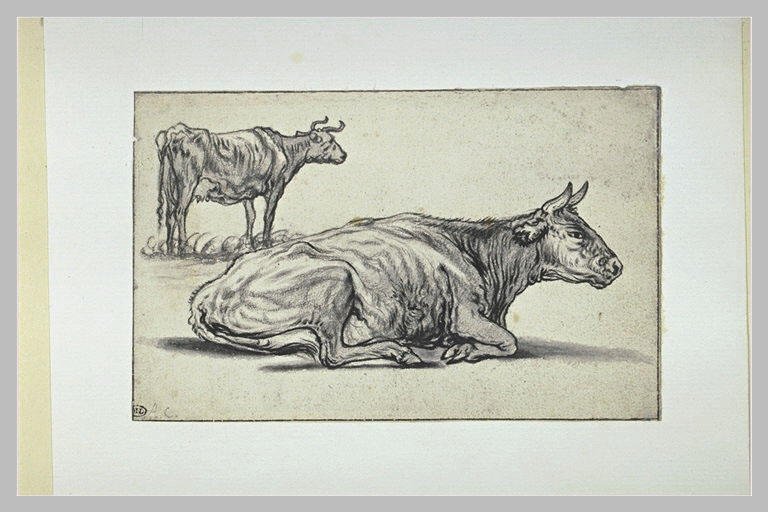 Etude d'une vache couchée et d'une autre debout