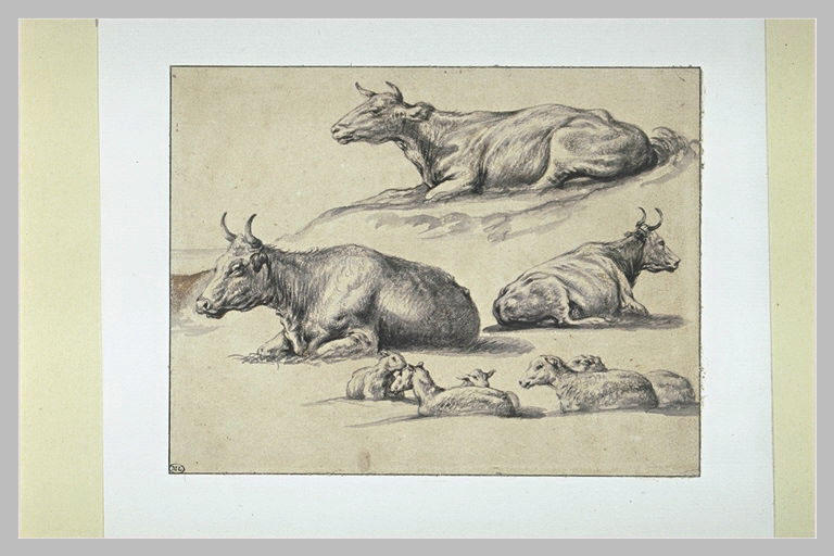 Trois vaches et cinq moutons couchés