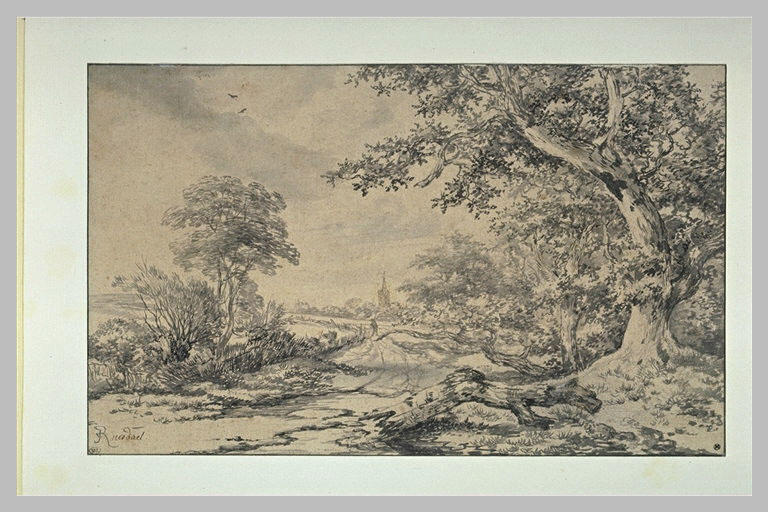 Route sortant d'une forêt, menant à un village
