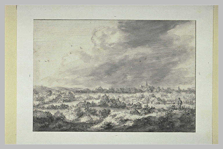 Vue de Haarlem, prise des dunes, du côté sud