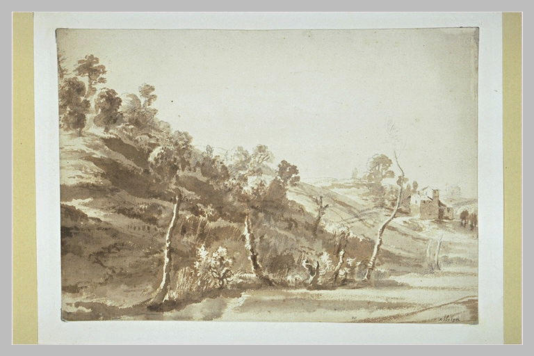 Flanc d'un coteau légèrement boisé