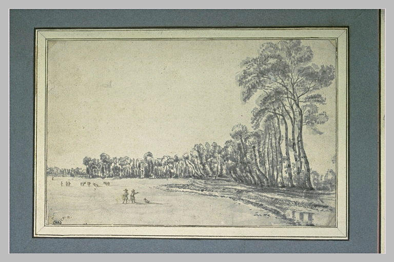 Pâturage encadré par de grands arbres