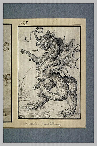 Un dragon ailé, tourné vers la gauche