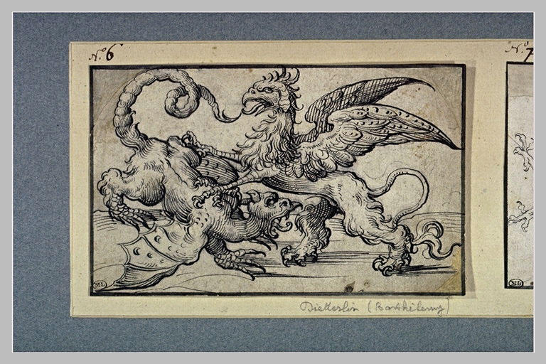 Deux dragons ailés combattant