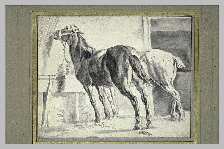 Deux chevaux à l'écurie