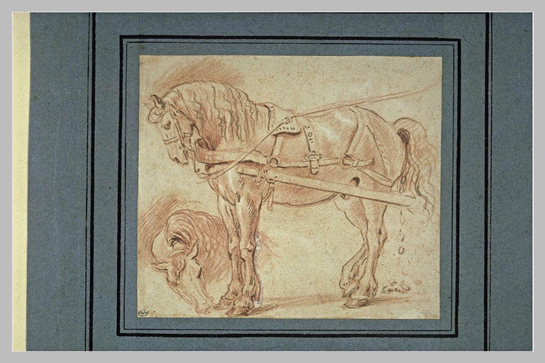 Tête de cheval et cheval attelé