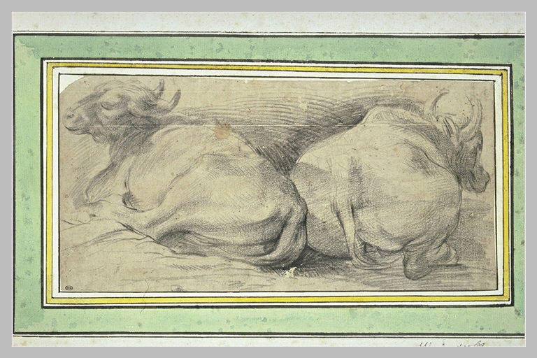 Vache et veau couchés