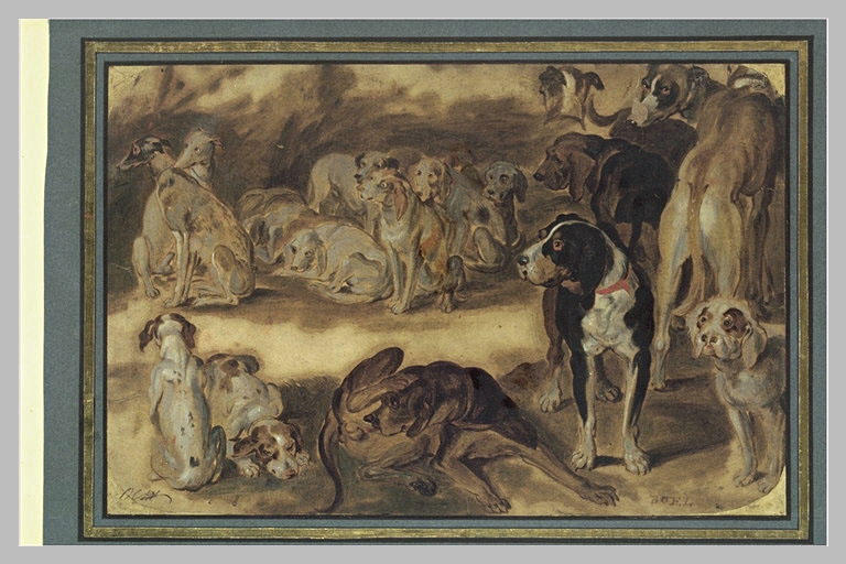 Dix-sept études de différents chiens