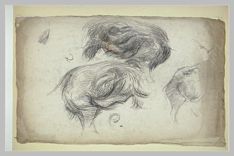Etudes de corps de sangliers