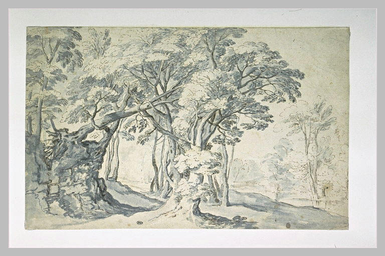 Paysage boisé, avec une mare à droite