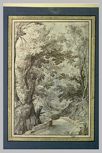 Route entre deux talus boisés