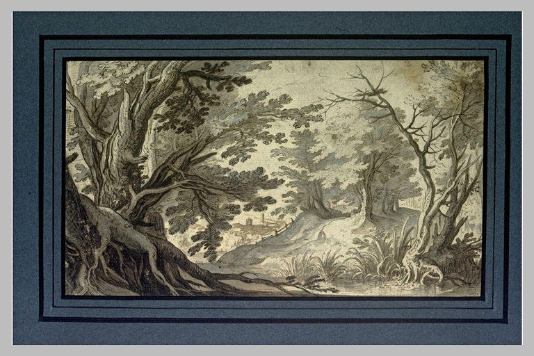 Paysage boisé, avec une rivière